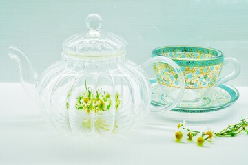 白背景にガラスポットに準備されたフレッシュカモミールティ