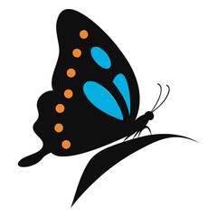 Elegant Pipevine Butterfly Silhouette: Isolated Vector for Design Projects
