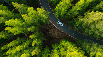Aerial view of dark green forest road and white electric car Natural landscape and elevated roads...