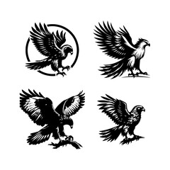 Hawk Silhouette white background