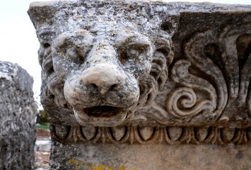 Ancient Marble Lion Head Architectural Detail