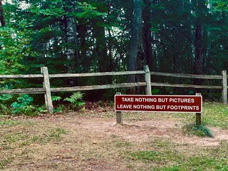 no trespassing sign in the forest