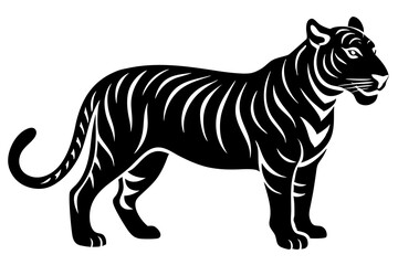 tiger vector illustration