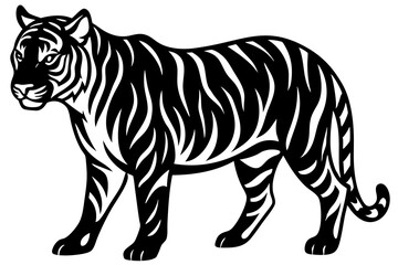 tiger vector illustration
