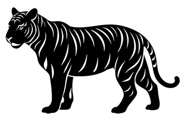 tiger vector illustration