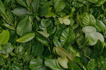 Obraz premium A close-up shot of thick, green grass blades densely packed together, showcasing a vibrant, healthy lawn in its prime.