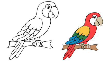 Cartoon style coloring page of a parrot with a colored example for kids' activities, wildlife learning book, isolated on white background