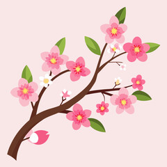 Cherry Blossom Branch Icon with Blooming Flowers Vector