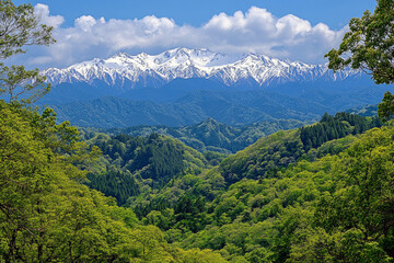 Fototapeta premium Majestic snow-capped mountain peaks with lush green forest and layered hills under clear blue sky