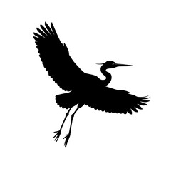 Heron silhouette on white background