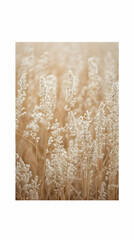 Autumnal Grassland Photo: Golden Hues and Delicate Seed Heads