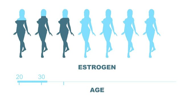 Human age scale and women silhouettes with estrogen level. The measuring progress bar. Dependence of estrogen levels on age.