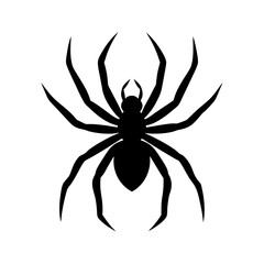 spider silhouette on white background
