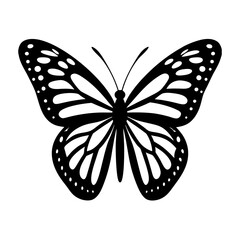 butterfly silhouette on white background