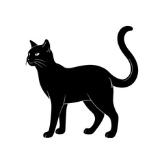 black cat silhouette on white background