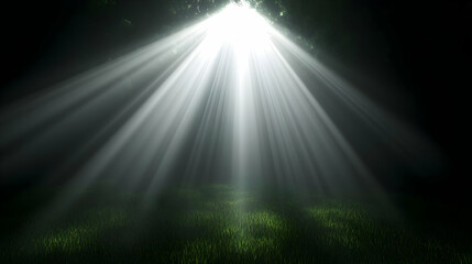 3D Grassland Light Rays Background