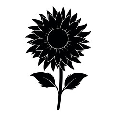 Silhouette of sunflower isolated on white background.