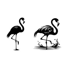 Flamingo black in white Silhouette white background