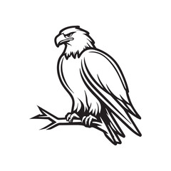 a white bird with black wings
