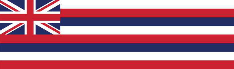 Fototapeta premium Hawaii flag long banner digital vector illustration