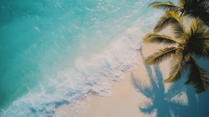 High angle view of a tropical beach, light teal water gently lapping at a light beige shore, a palm tree casts a shadow, and tiny sparkles are