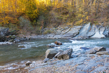 morning in a mountainous area, frost falling on the trees, the first rays of the sun awaken nature