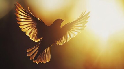 Dove in flight bathed in radiant golden sunlight symbolizing hope