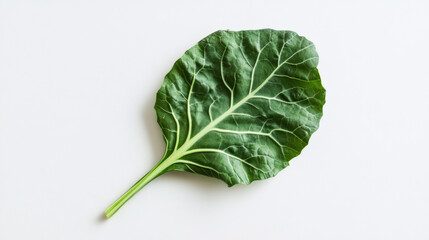 Obraz premium single collard green leaf with vibrant green color and distinct veins, placed diagonally on light background, showcasing its fresh and healthy appearance