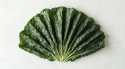 Neatly arranged kale leaves create stunning fan shape, showcasing their vibrant green color and textured surface. This visually appealing display highlights freshness of vegetable