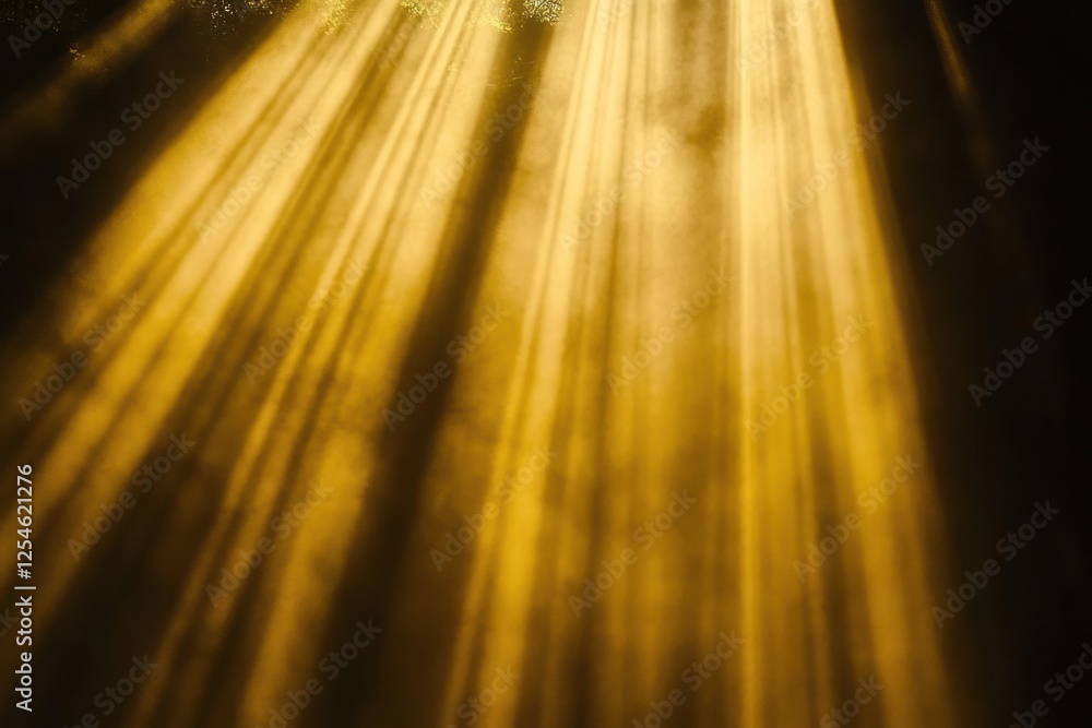 Poster sunlight rays filtering through forest canopy at dawn