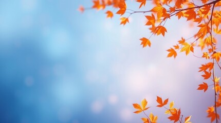 Autumn Leaves with Blurred Blue Sky Background