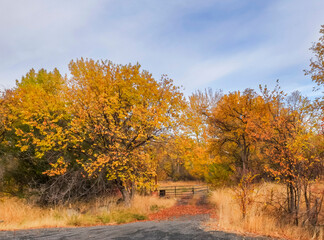 Gate across unpaved road surrounded by fall foliage
