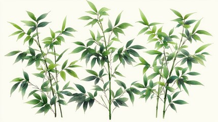 Obraz premium Lush green bamboo plants arranged aesthetically on a light background, ideal for nature-themed designs