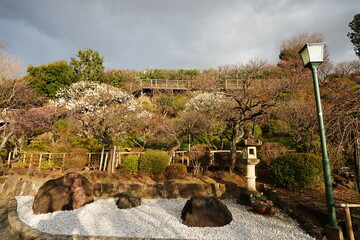 春を告げる梅の庭園