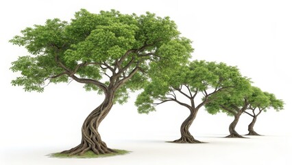 Three Lush Green Trees Digital Rendering of Twisted Trunks and Full Foliage