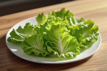 Fresh green lettuce leaves on a white plate, simple and healthy eating concept