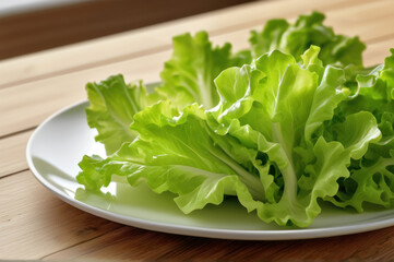 Fresh green lettuce leaves on a white plate, simple and healthy eating concept