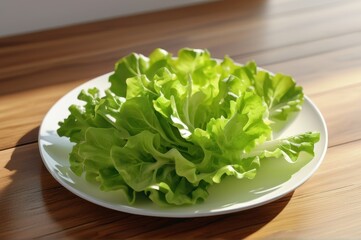 Fresh green lettuce leaves on a white plate, simple and healthy eating concept