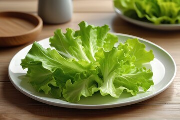 Fresh green lettuce leaves on a white plate, simple and healthy eating concept