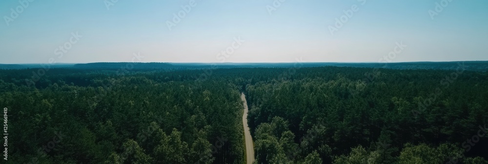 Leinwandbilder Road stretches into a serene forest with ample greenery and blue sky on a clear day inviting adventure and exploration. Generative AI