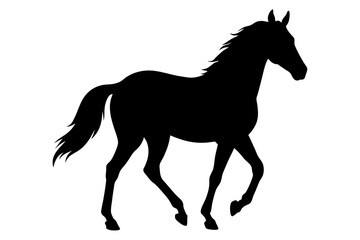 Horse silhouette illustration on white background