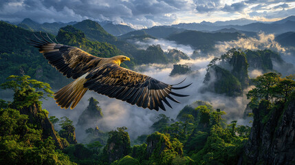 Majestic eagle soaring over misty mountains at sunrise, capturing nature's grandeur