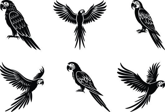 Parrot Macaw premium quality silhouette and line art vector illustration set, Parrot Macaw vector icon design