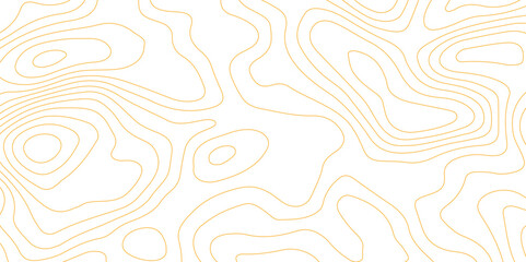 Topographic map background with geographic grid for hiking and mountain sport. modern design with white background and gold wave lines. topographic contour lines vector map seamless pattern vector.