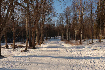 Winter