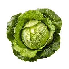 Obraz premium top view of Cabbage isolated on transparent background. Generative ai