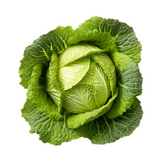 Obraz premium top view of Cabbage isolated on transparent background. Generative ai