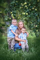 Fototapeta premium Portrait of a mother and two sons. Mom tenderly hugs her sons. Mom and sons are sitting under an apple tree. Family on a summer day for a walk in the garden. Mom and sons are harvesting. Happy family