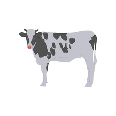 Cow, Farming Flat Vector Illustration