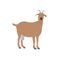Goat, Farming Flat Vector Illustration
